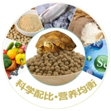 Nanqiang Brand Stone Money Curtle ингредиент черная шея денежные черепаха Педта черепаха пламенная черепаха корм