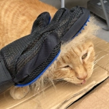 Meow Ji's Cat Shop 2 БЕСПЛАТНАЯ ДОСТАВКА 撸 Кошачьи перчатки Удаление волос, волосы, волосы, массаж волосы и собаки универсальная расческа