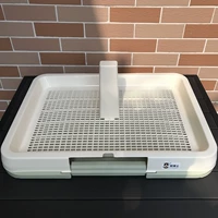 Светло -зеленая среда