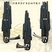 21 Spring Black Tube Apiner Shengzhu True Colors