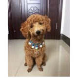 Мультяшный колокольчик, браслет для пожилых людей, ожерелье, цепочка, кошки и собаки, китайский гороскоп