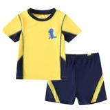 Детский раздельный купальник для раннего возраста для мальчиков, летние штаны, комплект