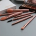 Hàn Quốc Kosrela Kosrela Macaron Makeup Brush 7 Piece Set Eyeshadow Brush Eyebrow Brush Blush Beauty Tool - Các công cụ làm đẹp khác