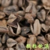 Lớn liangshan kiều mạch thân số lượng lớn kiều mạch trấu gối lựa chọn ngọt kiều mạch vỏ gối 5 kg vận chuyển