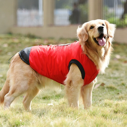 Большая собака домашняя одежда Новая золотистое ретривер.