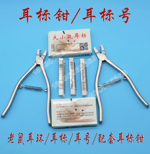 Шанхайские мыши и крысы животные зажигание зажигание. Плозослойки.