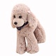 Mô phỏng Chó Teddy Dog Doll Poodle Đồ chơi sang trọng Chó búp bê Búp bê Quà tặng sinh nhật Cô gái - Đồ chơi mềm đồ chơi cho bé dưới 1 tuổi Đồ chơi mềm