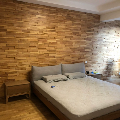 Настоящий троянский телевизионный фон стены лодка главного крыльца коридор