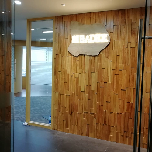 Настоящий троянский телевизионный фон стены лодка главного крыльца коридор