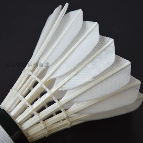 航宇 Клуб стабильности бадминтона Золотой № 1 -класс золотой -серебряный белый № 2 12