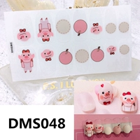 DMS048