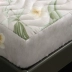 Bông giường, mảnh duy nhất bông chần Simmons bảo vệ bìa dày không trượt mỏng nâu nệm bìa 1.8 m trải giường Trang bị Covers