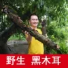 Товары от yiyuliu2008