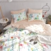 Bắc âu đơn giản cotton giường đôi cung cấp bốn bộ cotton Hàn Quốc sinh viên tươi nhỏ ba bộ giường 笠