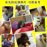 Игрушка для правильного прикуса, хлопковые шарики, издает звуки, домашний питомец