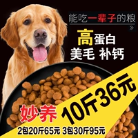 Купая собачья корм 10 фунтов берми пингбин Тедар Сацума Золотой Мао Мао Мао Мао Мао Мао Мум