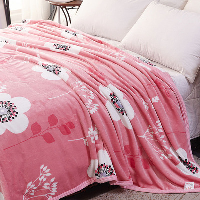 珊瑚绒床单加厚保暖毛毯加绒学生宿舍