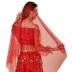 Soya múa bụng che mặt múa Ấn Độ mũ ruby ​​lông mày phụ kiện khiêu vũ hiển thị đạo cụ quảng bá phụ nữ - Khiêu vũ / Thể dục nhịp điệu / Thể dục dụng cụ