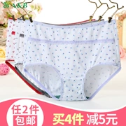 2 đồ lót AB nữ chất liệu cotton gợi cảm ren cao eo nhỏ boyshort ab đồ lót kháng khuẩn nữ 0170