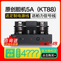 Оригинальный/оригинальный OPA-5ASE Оригинальный 5A SE BLEACH MACHINE KT88 усилитель Amp усилитель HiFi