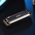 Chimei Harmonica Blues 10 Lỗ 20 Âm thanh C Người lớn Trẻ em Sinh viên mới bắt đầu Chuyên nghiệp Chơi nhạc cụ Blues - Nhạc cụ phương Tây