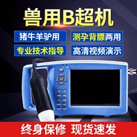 Beast B -uultrasound Диагностический инструмент (цвет)