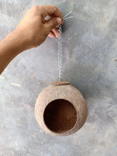 Кокосовая оболочка питомец Осенний хомяк Золотой шелковый медведь медово меноде