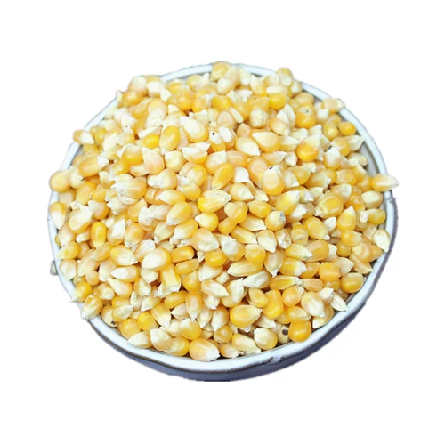 Популярное рисовое цветочное зерно кукурузное зерно 5 кот дисковода домашнее масло попкорна Микроволновая печь Домашнее бутоны рис Взрывитул кукурузный зерно