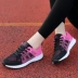 Chạy giày của phụ nữ giày thể thao phụ nữ 2018 mùa xuân mới sinh viên lưới giày chạy mùa hè du lịch giày thường giày của phụ nữ