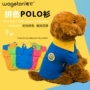 Chó polo quần áo Teddy mùa hè mùa xuân Xiong Bomei cún con chó con trang phục mèo cưng vest vest phần mỏng - Quần áo & phụ kiện thú cưng mũ cho chó