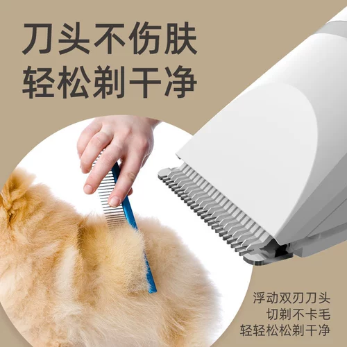 Четырех -летний старый магазин Три цвета домашних животных для домашних животных, собачья шерстяная собака, толкающая шерсть, кошачьи ноги.