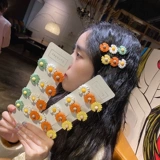 Подарочные мероприятия по студенческой компании, прилавкивающие торговые центры с хризантемами, бесплатные учебные курсы, практические небольшие подарки