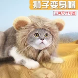 Шапка, кролик, шлем, аксессуар для волос, лев, домашний питомец, кот