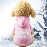 Осенний свитер, милый кролик, домашний питомец, кот