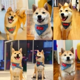 Нагрудник, шарф, слюнявчик, чокер, популярно в интернете, делается под заказ