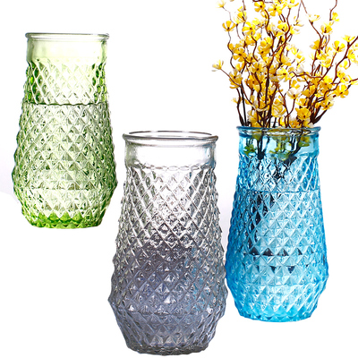 北欧式大号玻璃水培透明花瓶加高款