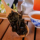 Чай Dahongpao Wuyi Rock Tea Подлинный Улун Премиум-класса оптом Ароматный чай Dahongpao 500 г Бесплатная доставка mini 3