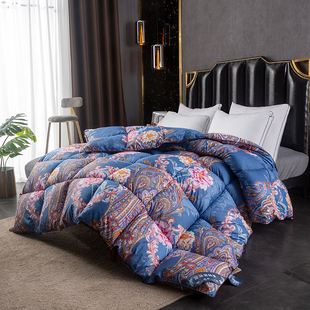 杉杉家纺网红款进口欧洲羽绒鹅被95白鹅绒冬被加厚酒店冬季被芯_优惠