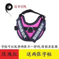 Красная тетрадь с поводком