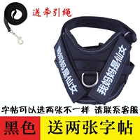 Черная тетрадь с поводком