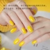 2020 Nail Art Fall / Winter Net Red Phổ biến Màu mới Màu mới Ceylon Màu vàng Sơn móng tay Gel Vàng Vàng C301 - Sơn móng tay / Móng tay và móng chân