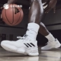ADIDAS PRO BOUNCE 2018 Giày bóng rổ nam chiến đấu thấp mới AH2673-BB7410 - Giày bóng rổ giày thể thao