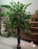 Cây mô phỏng cây giả lớn cây tài lộc trang trí phòng khách trang trí khách sạn đặc biệt ngày lễ hoa 2 m mộc lan cây cảnh - Hoa nhân tạo / Cây / Trái cây Hoa nhân tạo / Cây / Trái cây