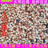 Gan Liangde yi -класс кукуруза, голубь -голубь -голубь, голубь, пищевые голубы, птичья пищевая голубь кормит 50 кот бесплатно доставка