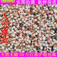 Gan Liangde yi -класс кукуруза, голубь -голубь -голубь, голубь, пищевые голубы, птичья пищевая голубь кормит 50 кот бесплатно доставка