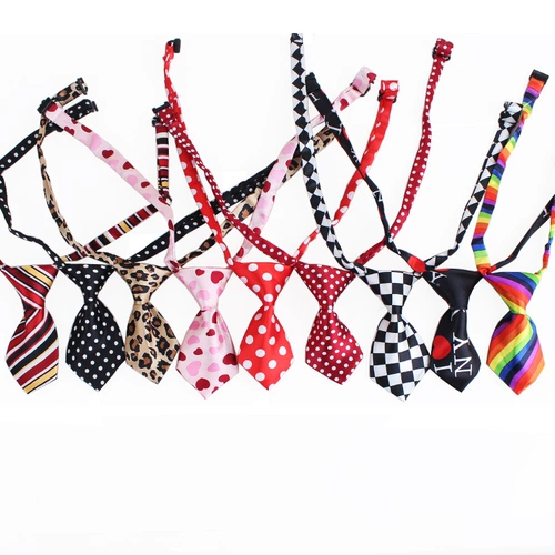 Воротник, ведущий собаку, питомец