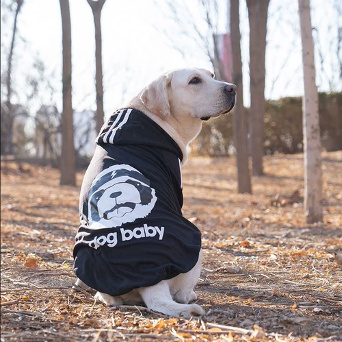 Новая весна и осенняя средняя и большая собака золотисто-ретривер сатсума пограничная воротничка для любимой одежды для собак.