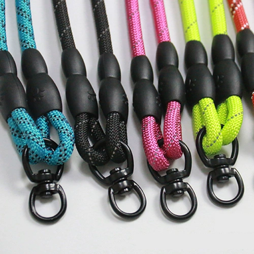 Две собаки две головы тянут две собаки, одна тяга, две плюшевые две головы, чтобы предотвратить обернутую большую большую собаку, ходящую собаку