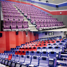 Кресла для кинотеатров 厂家定制高级剧院椅带杯桶电影院座椅听众席椅报告厅软包公共排椅