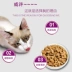 Thức ăn cho mèo Weijia cá ngừ và cá hồi hương vị vào thức ăn cho mèo 1,3kg mèo Vega thức ăn chủ yếu cho mèo thức ăn khô - Cat Staples